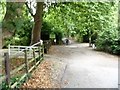 Thames Path crosses Wallingford Road [2]