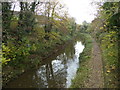 Bridgwater & Taunton Canal