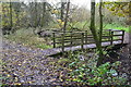 Footbridge in the woods