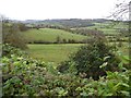 Valley below Whiteshill