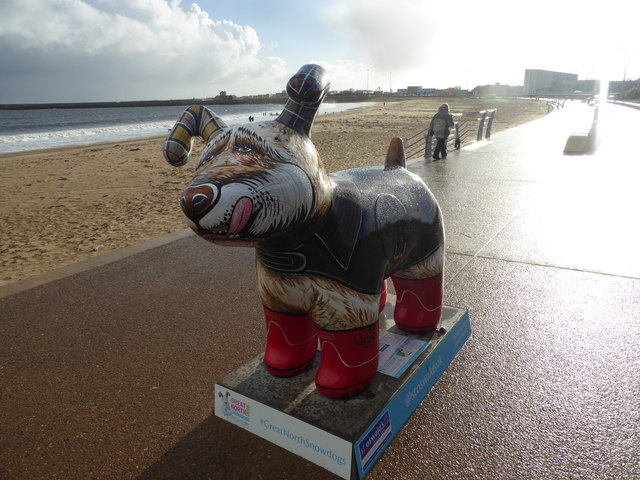 One of the Snowdogs at South Shields