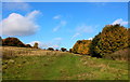 St Edmunds Way leading towards Middleton