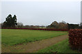 Garden at Eglinton Country Park