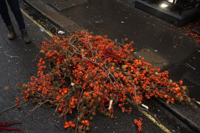 View of a fake orange floral display being taken down from the front of the Maddox Gallery #2