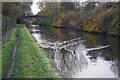 Duck waves on the Shropshire Union Canal