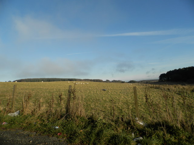 Field below Gaskie Hill