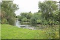 River Avon at Middle Woodford