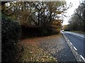 The entrance to Heathwoods on Dorking Road