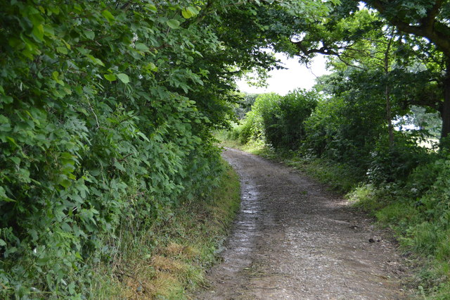 Eden Valley Walk © N Chadwick :: Geograph Britain and Ireland