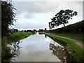 Middlewich Branch, near Park Farm