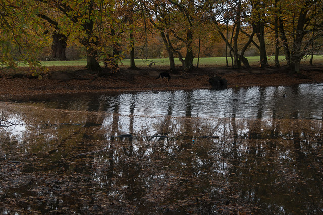 Pond Reflections, Trent Park, Cockfosters, Hertfordshire