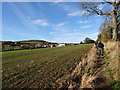 Footpath towards Glanton