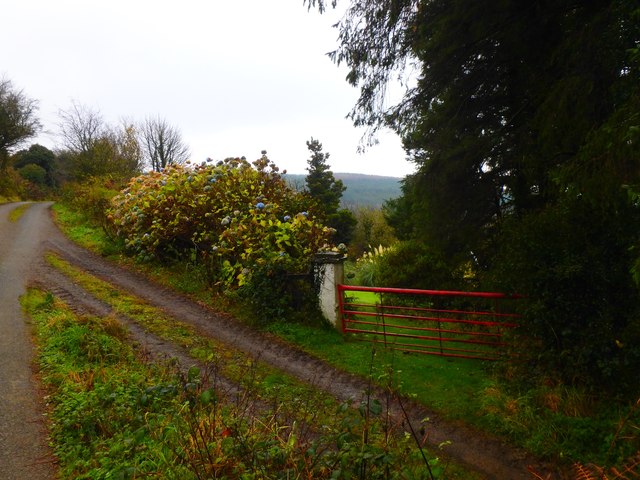 Along the Leinstermen Grave Trail