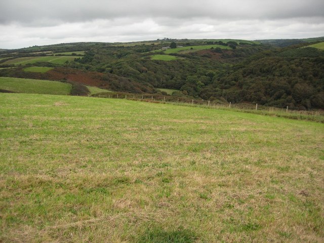 View to the wooded valley of Millook