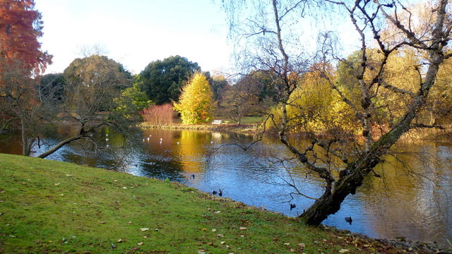 November afternoon at Kew, 14