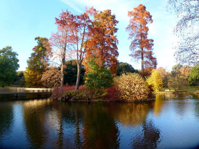 November afternoon at Kew, 18