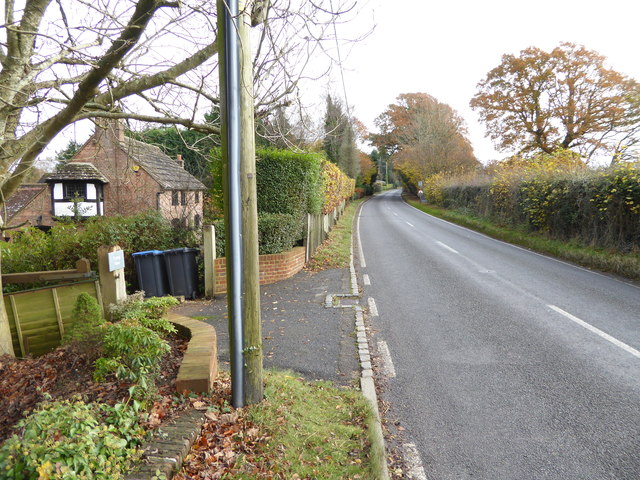 Cuckfield Lane looking east from edge of woodland