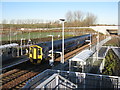 NT3169 : Train at Shawfair by M J Richardson