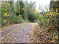 Footpath on drive going north from Jeremy