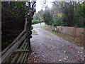 Footpath reaches Cross Colwood Lane