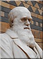 Sculpture of Charles Darwin