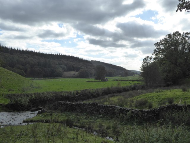Grizedale Beck and its valley
