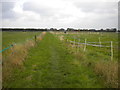 Public footpath between paddocks north of Newton (2)