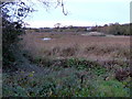 SX9389 : Double Locks Wetland by PAUL FARMER