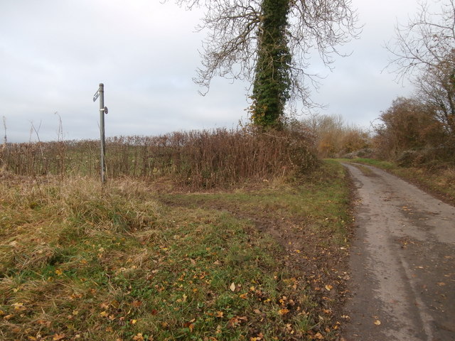 Halldoor Lane and Ayford Lane