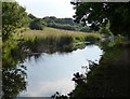 Staffordshire and Worcestershire Canal