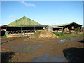 Cattle sheds at North Farm