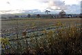 NS5026 : Farmland at Grassmillees by Alan Reid