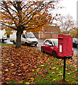 Queen Elizabeth II postbox near a carpet of dead leaves, Droitwich