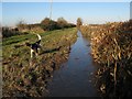 Flooded ditch