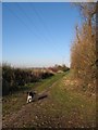 Footpath at Glan-y-gors