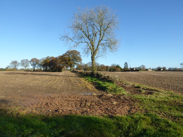 Farmland at Hampton Charles