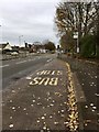 SJ8446 : Newcastle-under-Lyme: bus stop and lay-by on Liverpool Road by Jonathan Hutchins