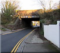 West side of Andrew Road railway bridge, Cogan