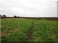 Footpath to Hayton