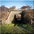 NO2715 : Railway Bridge near Cairneyhall Farm by David