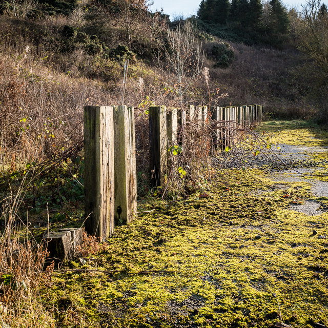 strange-enclosure-near-woodmill-mains-david-geograph-britain-and