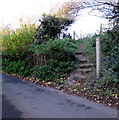 Steps up from Cwrt-yr-Ala Road, Michaelston-le-Pit