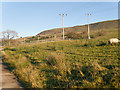 Grazing Land near Carr Head Farm