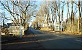 Bus shelter, Craigton Road, Milngavie