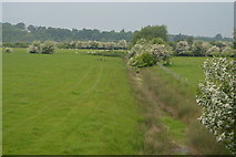 TQ9321 : Ditch near Salts Farm by N Chadwick