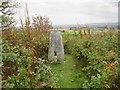 Hill of Kirriemuir triangulation pillar