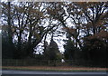 Gate to Spinney Path off Kenilworth Road