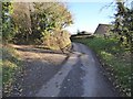 Road passing Downs Villa Farm