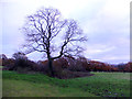 Pond between Hullet Hole Wood and Newgate Avenue