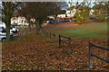 Fallen leaves at Hill Rise